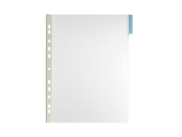 Durable 5607-06, Visningspanel, Blå, Gjennomsiktig, PVC, 210 x 297 mm (A4), Blå, 6 cm