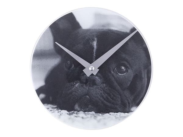 Nextime Little Dog - Klocka - kvarts - skrivbord, väggmonterbar - 20 cm - vit, french bulldog