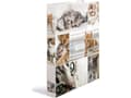 Miniatyrbilde 5 av 5: HERMA -