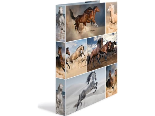 HERMA 19360, A4, Fotoark kartong, Flerfarget, 3,5 cm, 260 mm, 315 mm