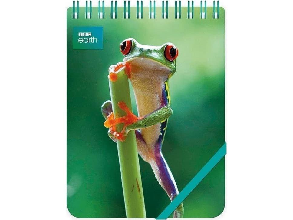 Museums & Galleries Kolonotes decorative Red Eyed Frog