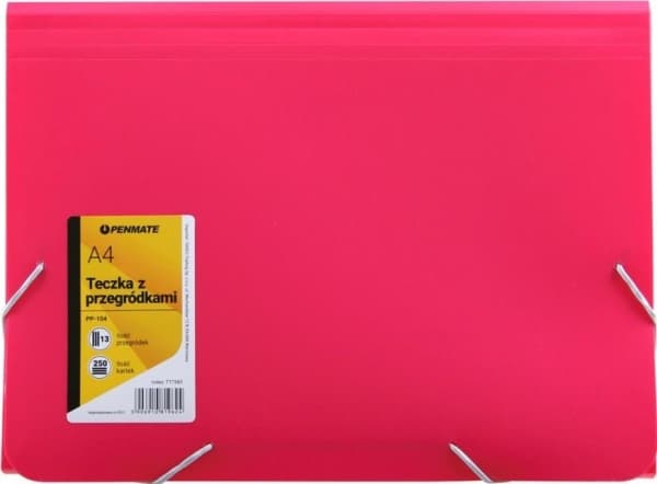 Penmate Folder with compartments A4 PP-104 pink
