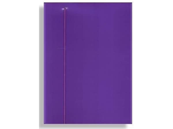 Penmate Folder with elastic A4 purple - WIKR-930578