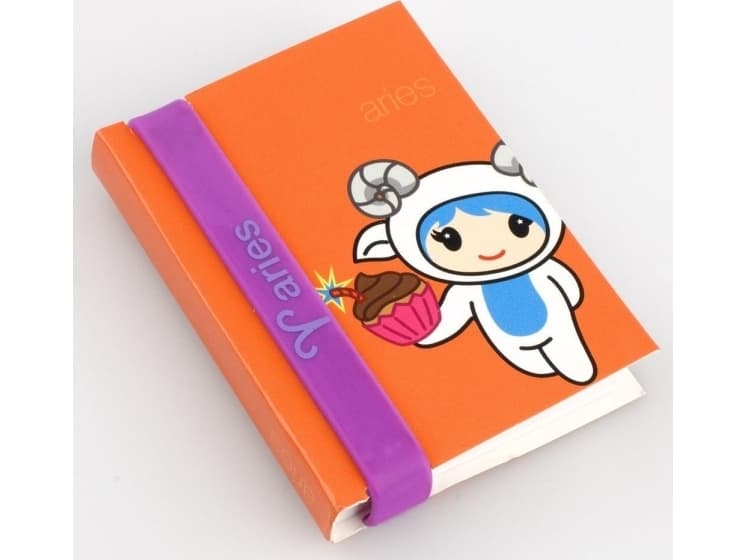 Thinking Gifts Zodiac - notebook with wristband - Aries (335071)