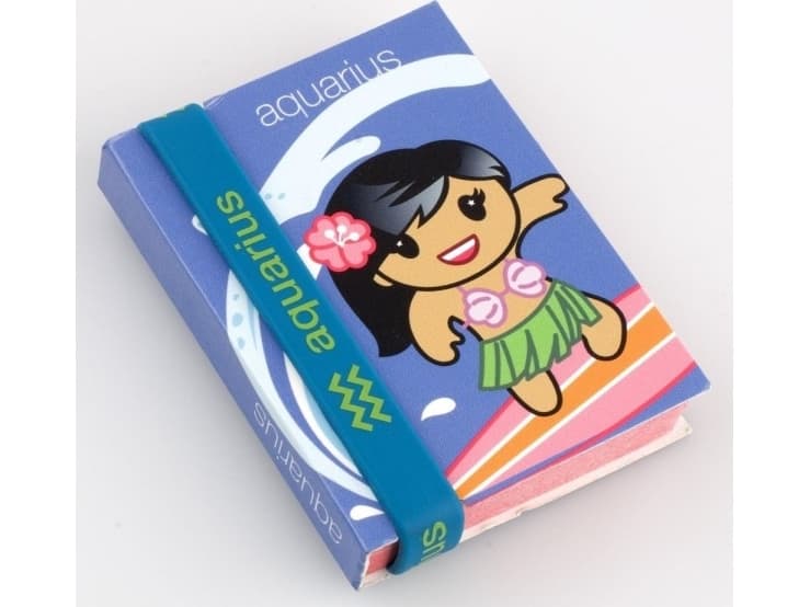 Thinking Gifts Zodiac - notebook with wristband - Aquarius (335125)