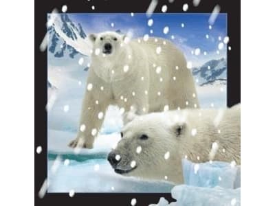 Värde att behålla Magnet 3D Isbjörnar i snön