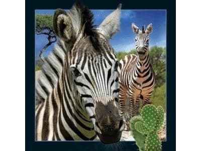 Worth Keeping Magnes 3D Zebra (182625)