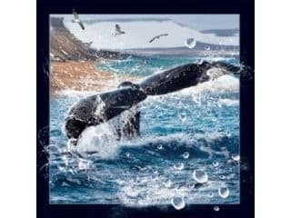 Worth Keeping Magnes 3D Ogon wieloryba (293204)