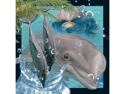Worth-Keeping Magnes na lodĂłwkÄ™ 3D Delfin