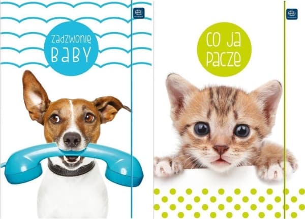 Interdruk Mapp med resårband A4+ LUX UV Puppy Sign (10st)