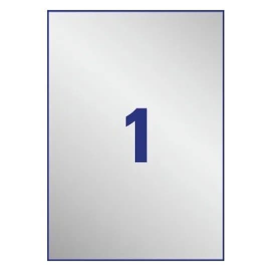 Avery Heavy Duty Laser Labels - Polyester - sølv - A4 (210 x 297 mm) 20 stk (20 ark x 1) merkelapper