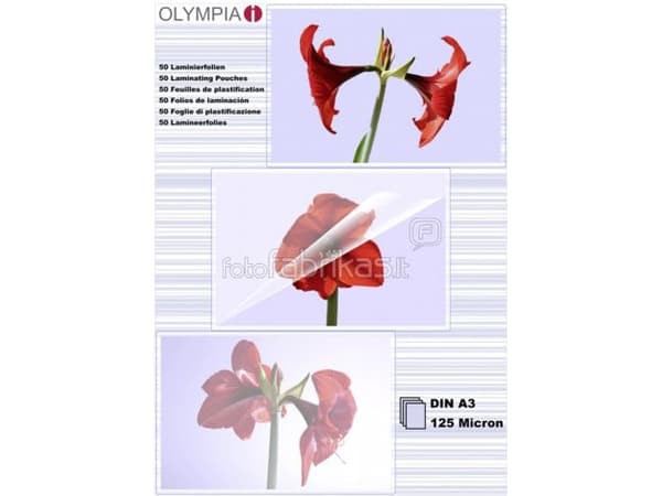 OLYMPIA - A3 (297 x 420 mm) 100 stk. lamineret band