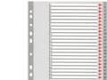 Miniatyrbild 5 av 5: Esselte index A4 1-31 plast grå (set)