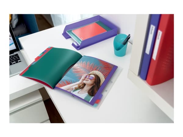 Esselte Colour'Ice - Klassifiseringsmappe - 12 rom - 12 deler - med faner - mange farger