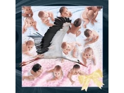 Worth-Keeping 3D Children Magnet (180022)