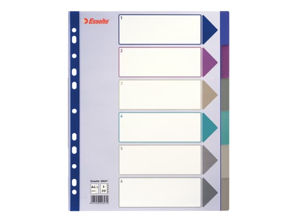 Esselte Plastic tab, A4, 245 mm, 305 mm
