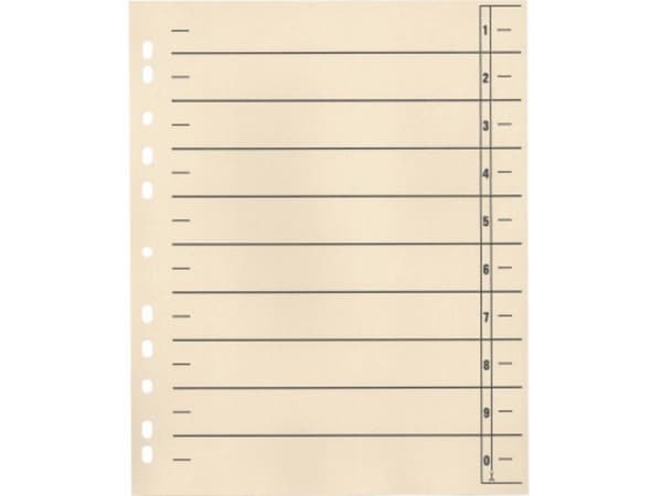 Soennecken Skilleblad 121009220 1554377 A4 190 g/m² 100 stk