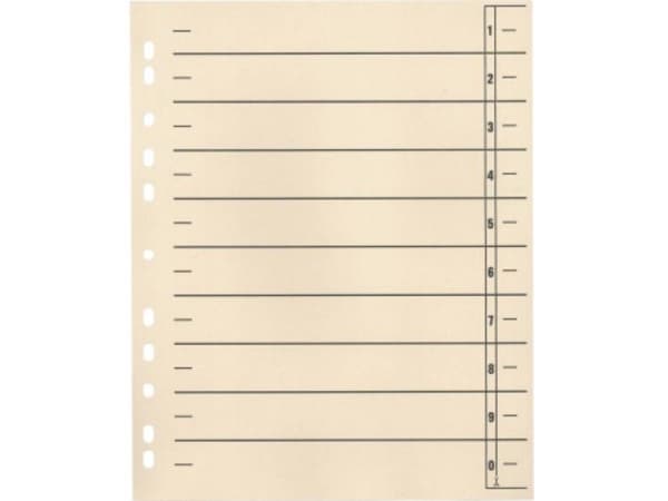Soennecken Skilleblad 121009220 1554377 A4 190 g/m² 100 stk