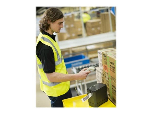 Brother P-Touch PT-P950NW - Etikettskriver - termotransfer - Rull (3,6 cm) - 360 x 720 dpi - inntil 80 mm/sek - USB 2.0, LAN, Wi-Fi(n), USB-vert - ku