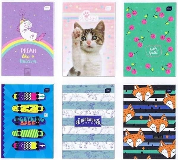 Interdruk Notebook A4/32 colorful line (10 pcs)