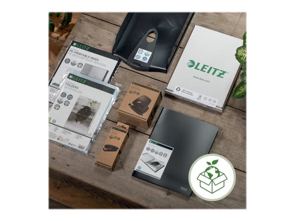 Leitz - Plattstrecksfil - för A4 (210 x 297 mm) - kapacitet: 250 ark - svart