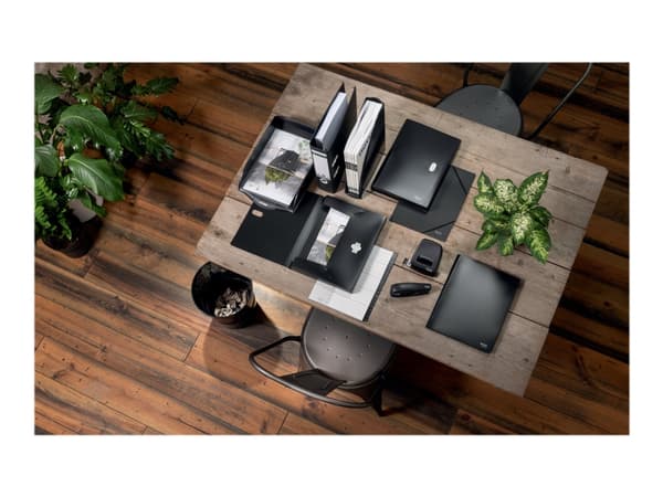 Leitz - Plattstrecksfil - för A4 (210 x 297 mm) - kapacitet: 250 ark - svart