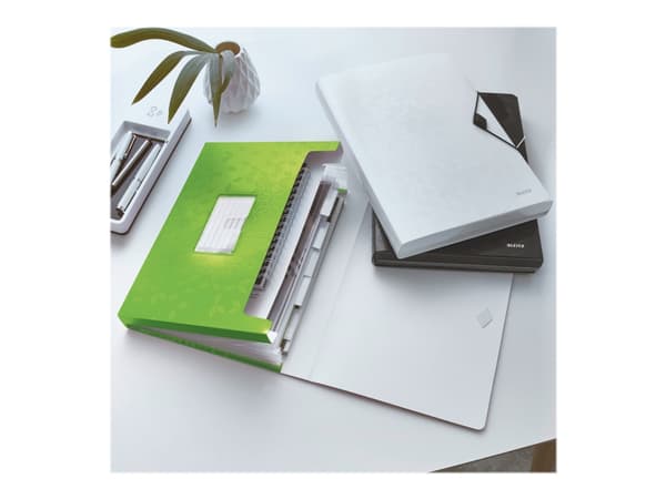 Leitz WOW - Dokumentmappe - kan utvides - 6 rom - 6 deler - for A4 (210 x 297 mm) - kapasitet: 250 ark - med fliker - grønn