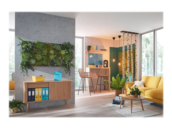 Leitz 70430061, 800 x 600 mm, Lasi, Kiinteä, Magneettinen, Raapimiseston päällyste
