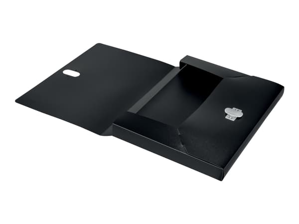 Leitz - Boxfil - ryggbredd: 38 mm - för A4 (210 x 297 mm) - kapacitet: 250 ark - svart