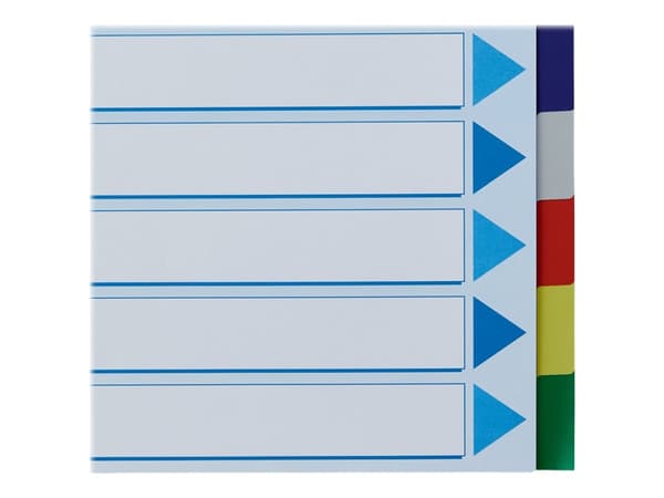 Esselte Plastic tabs, A4, 245 mm, 297 mm