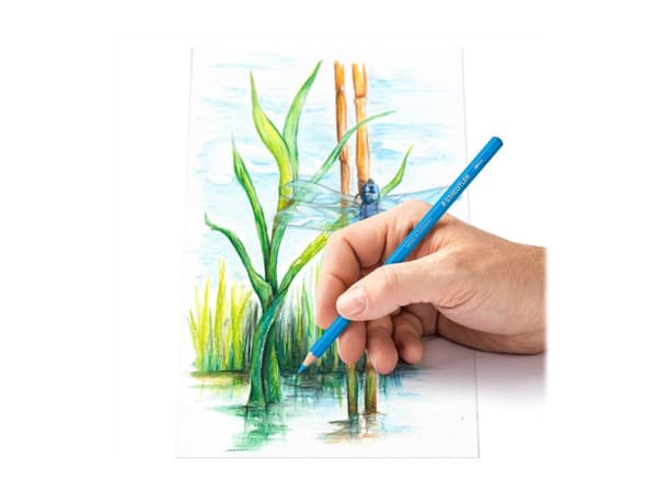 STAEDTLER 146 10C - Fargeblyant - soft - assorterte farger (en pakke 12)