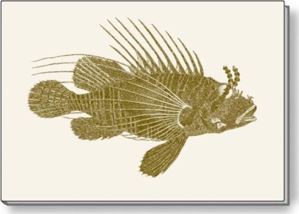 Rossi Decorative notebook A5 BR NP S30 C ROSSI