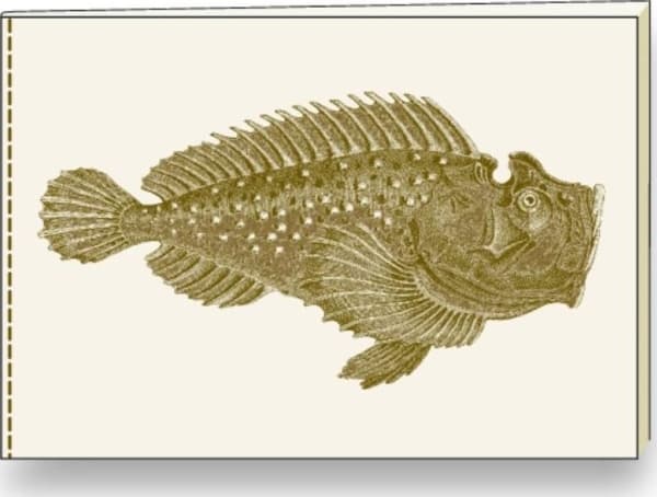 Rossi Decorative notebook A5 BR NB S31 A ROSSI