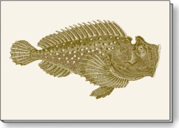 Rossi Decorative notebook A5 BR NP S31 C ROSSI