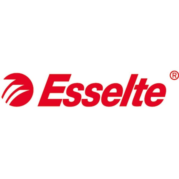 Esselte Presentationsringpärm DIN A4 Bredd baksida: 38 mm Vit 49708 1 st