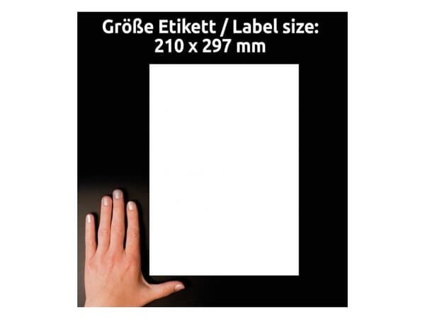 Avery LR3478-10, Vit, Rektangel, Permanent, 210 x 297 mm, A4, papper