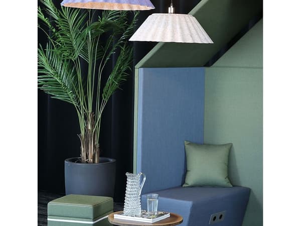 Areca Palme
