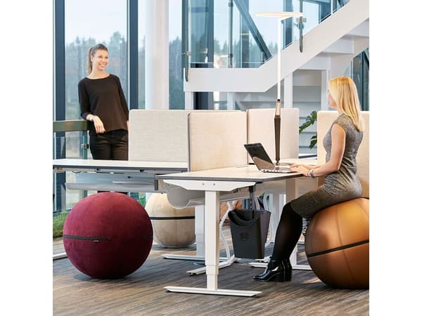 Siddebold Office Ballz, Stor Prisgr. 2