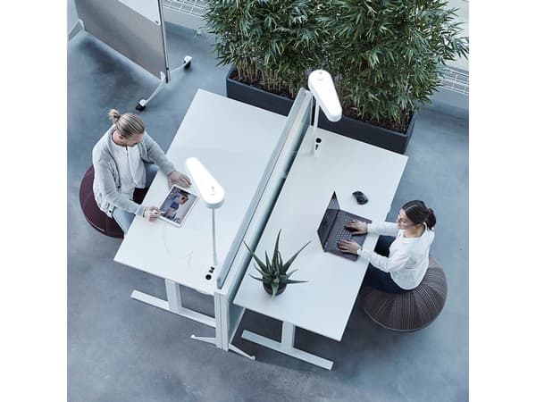 Istuinpallo Office Ballz, pieni hinta gr. 2