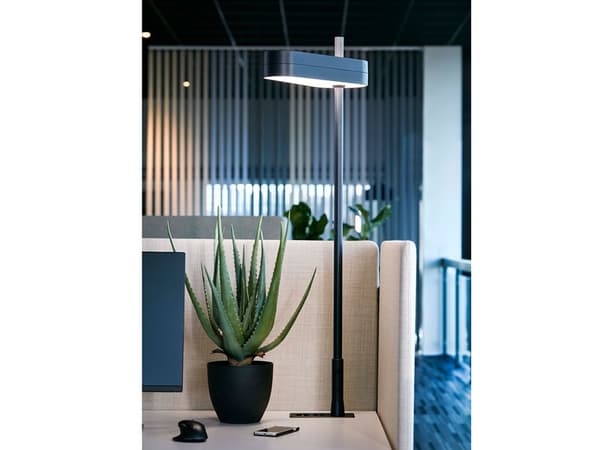 Bordlampe The Lightning sort