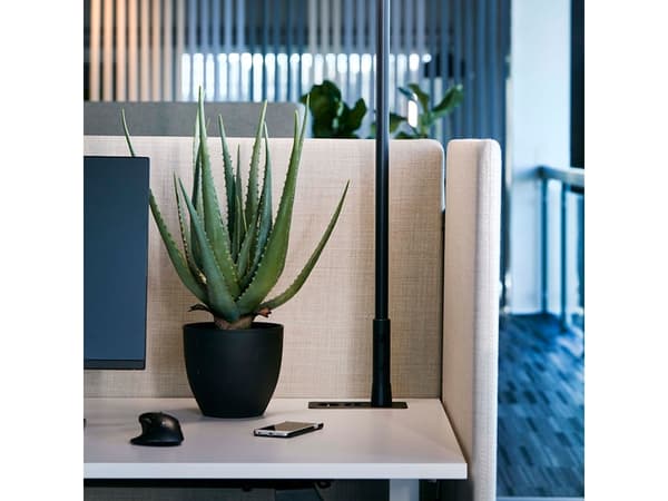 Bordskærm 650x1800 mm med søm Prisgruppe 3