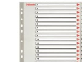 Rekisteröinti Esselte, 1-20, muovia, A4+, vihreä