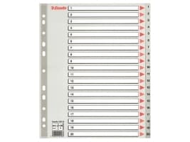 Rekisteröinti Esselte, 1-20, muovia, A4+, vihreä