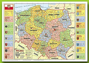 Derform Adhesive undercoat Poland administrative (DERF.POPA)