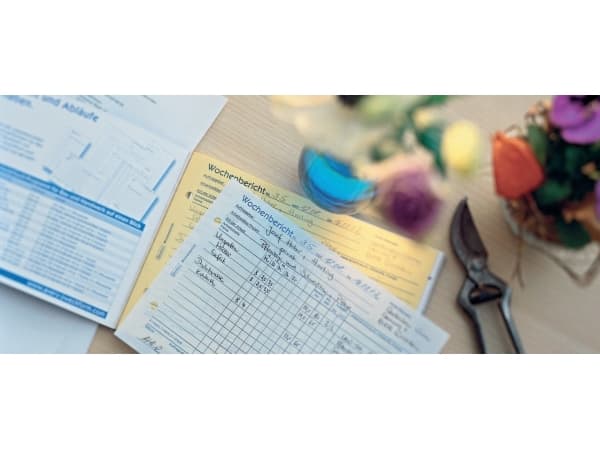 Avery Zweckform - Ukerapport - 50 ark - A5 - landskap - dublett