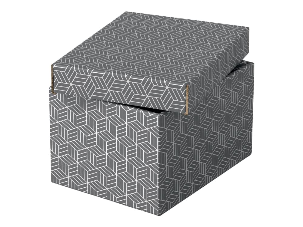 Esselte Home - Förvaringsbox - small - grå (paket om 3)