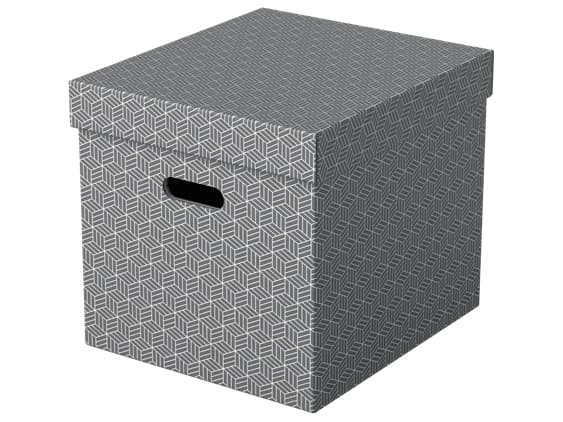 Esselte Home - Lagerboks - large - grå (en pakke 3)