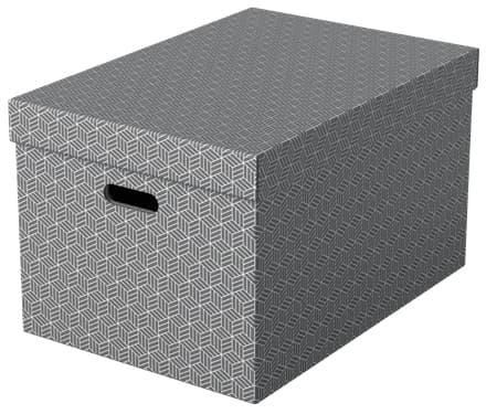Esselte Home - Lagerboks - large - grå (en pakke 3)
