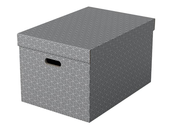 Esselte Home - Lagerboks - large - grå (en pakke 3)