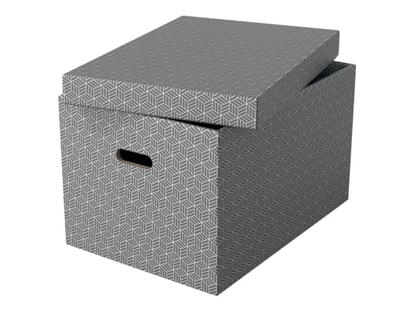 Esselte Home - Lagerboks - large - grå (en pakke 3)